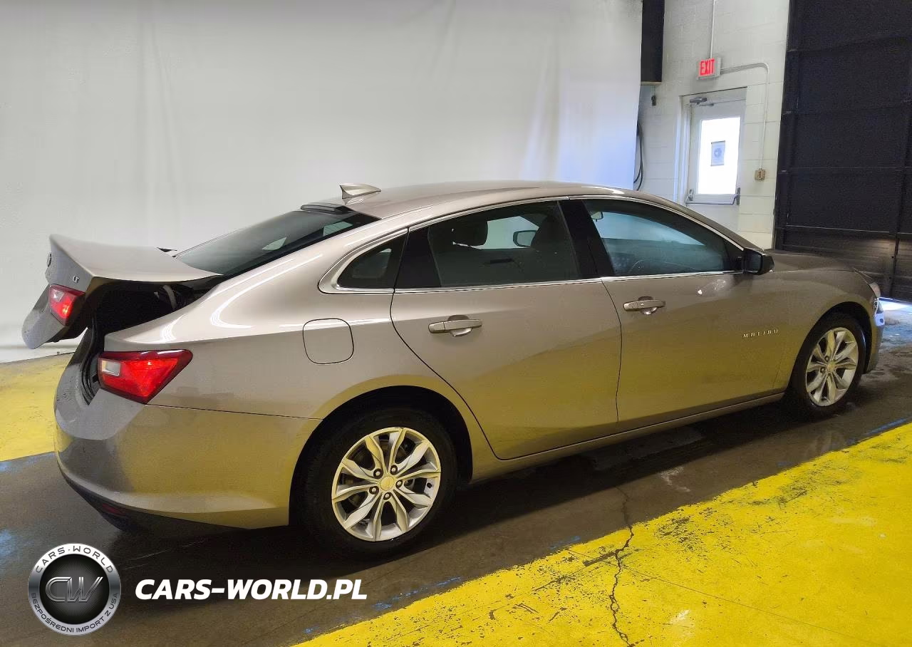 2023 Chevrolet Malibu Lt VIN:1G1ZD5ST5PF201859 - 3