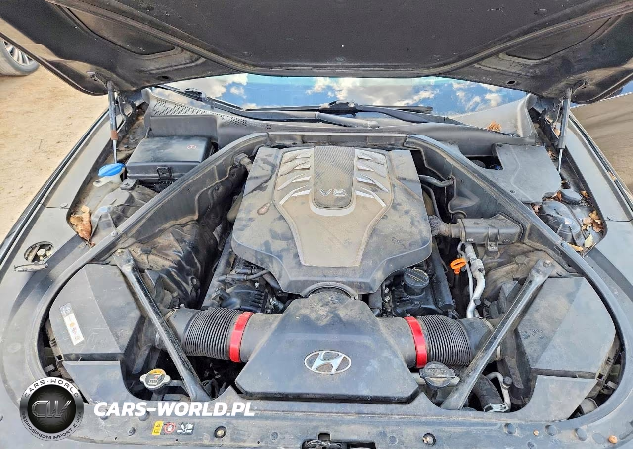 2015 Hyundai Genesis 5.0L VIN:KMHGN4JF4FU045708 - 11