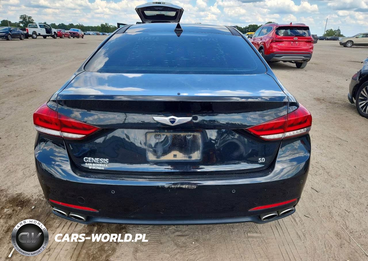 2015 Hyundai Genesis 5.0L VIN:KMHGN4JF4FU045708 - 6