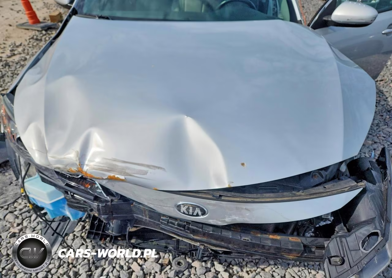 2013 Kia Optima Ex VIN:5XXGN4A71DG241315 - 11