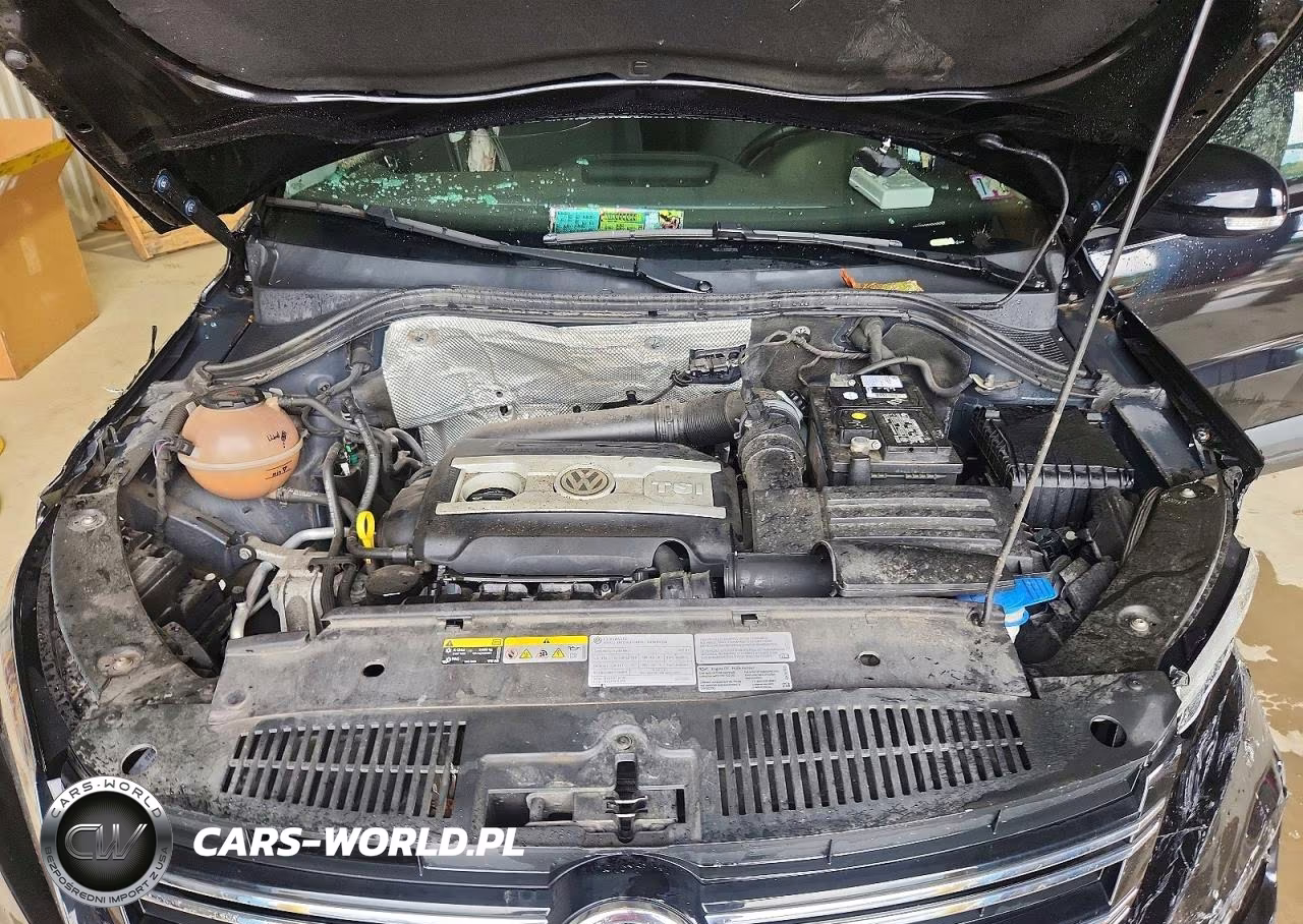 2017 Volkswagen Tiguan S VIN:WVGBV7AX0HK051492 - 12