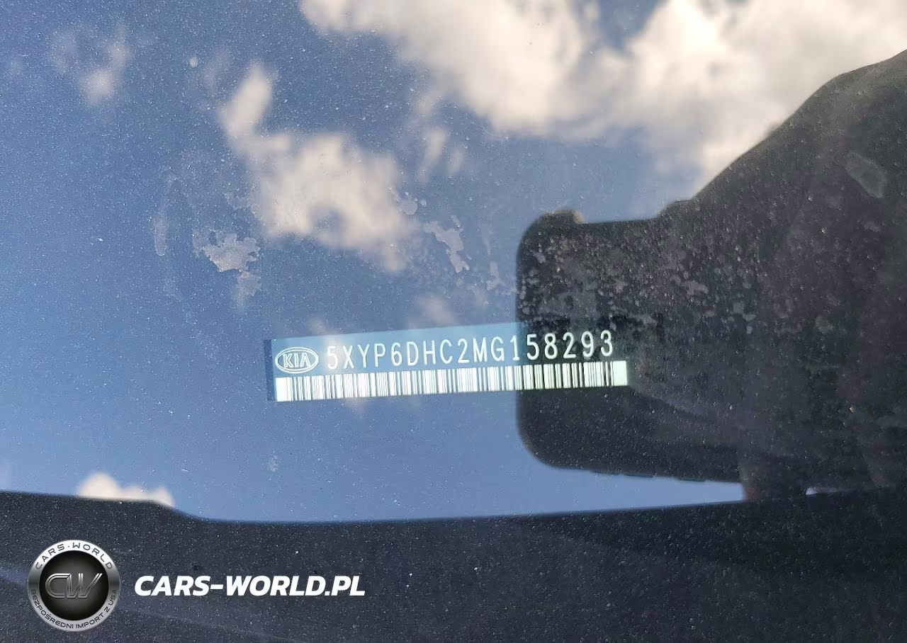 2021 Kia Telluride S VIN:5XYP6DHC2MG158293 - 13