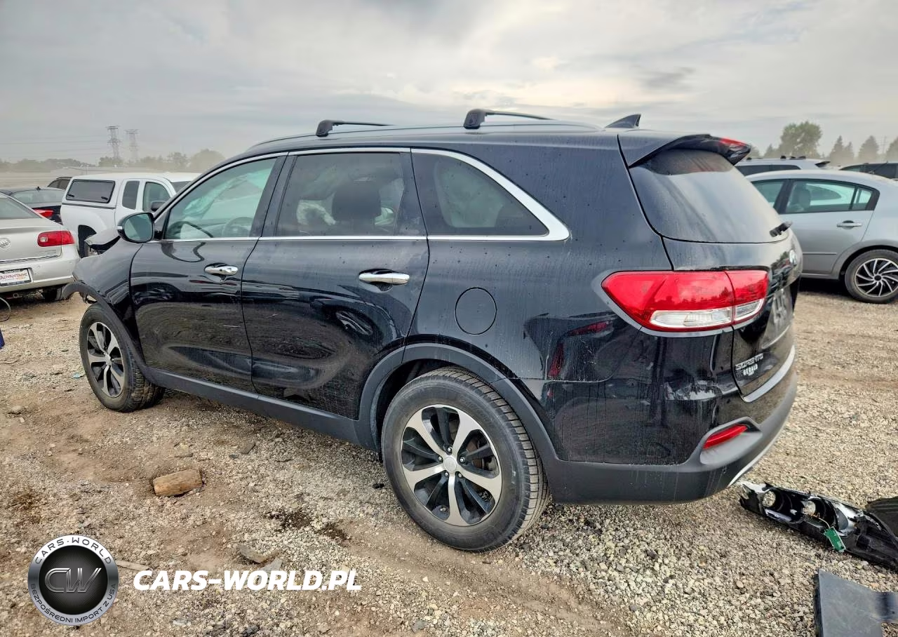 2017 Kia Sorento Ex VIN:5XYPH4A54HG224435 - 2