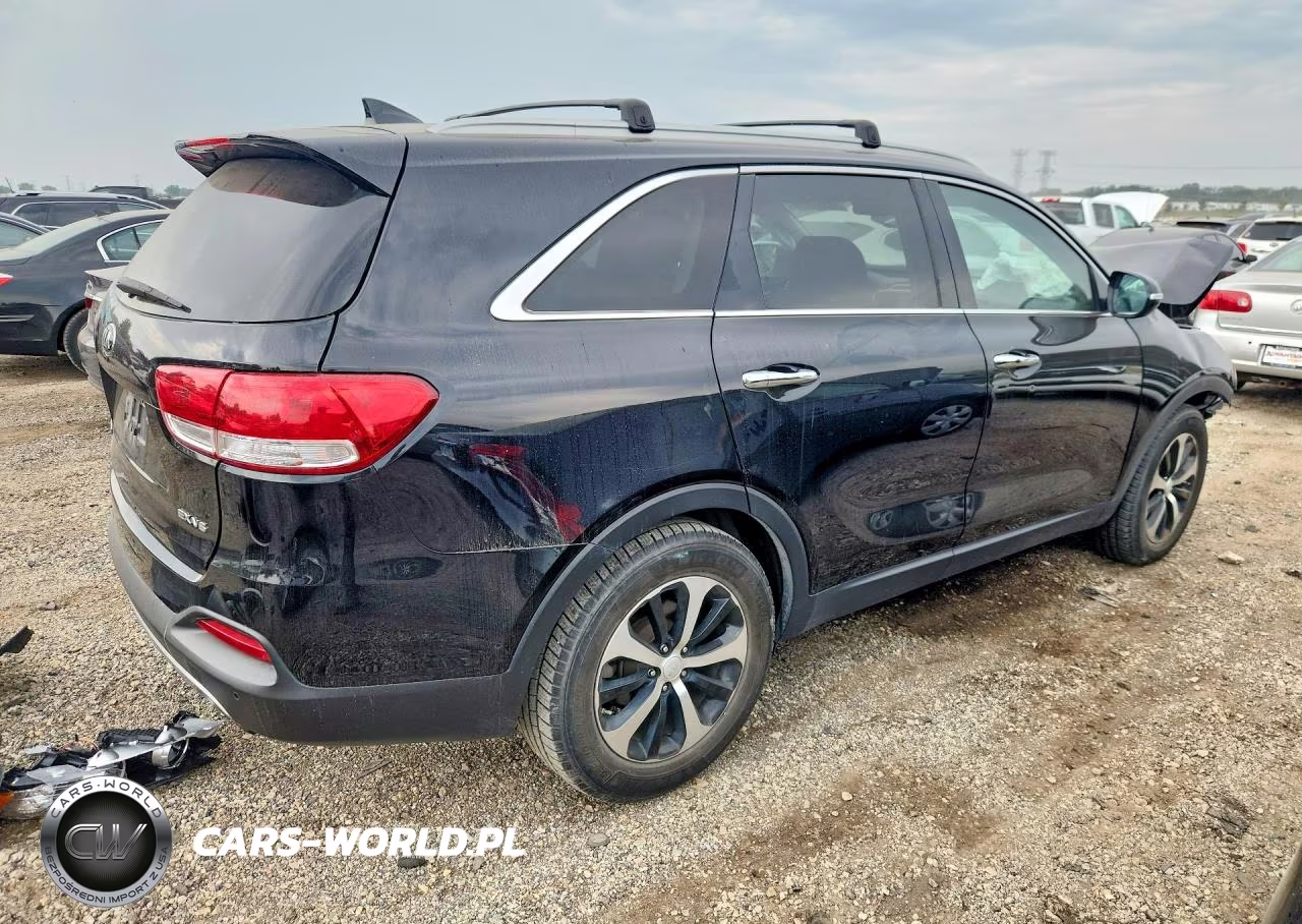 2017 Kia Sorento Ex VIN:5XYPH4A54HG224435 - 3