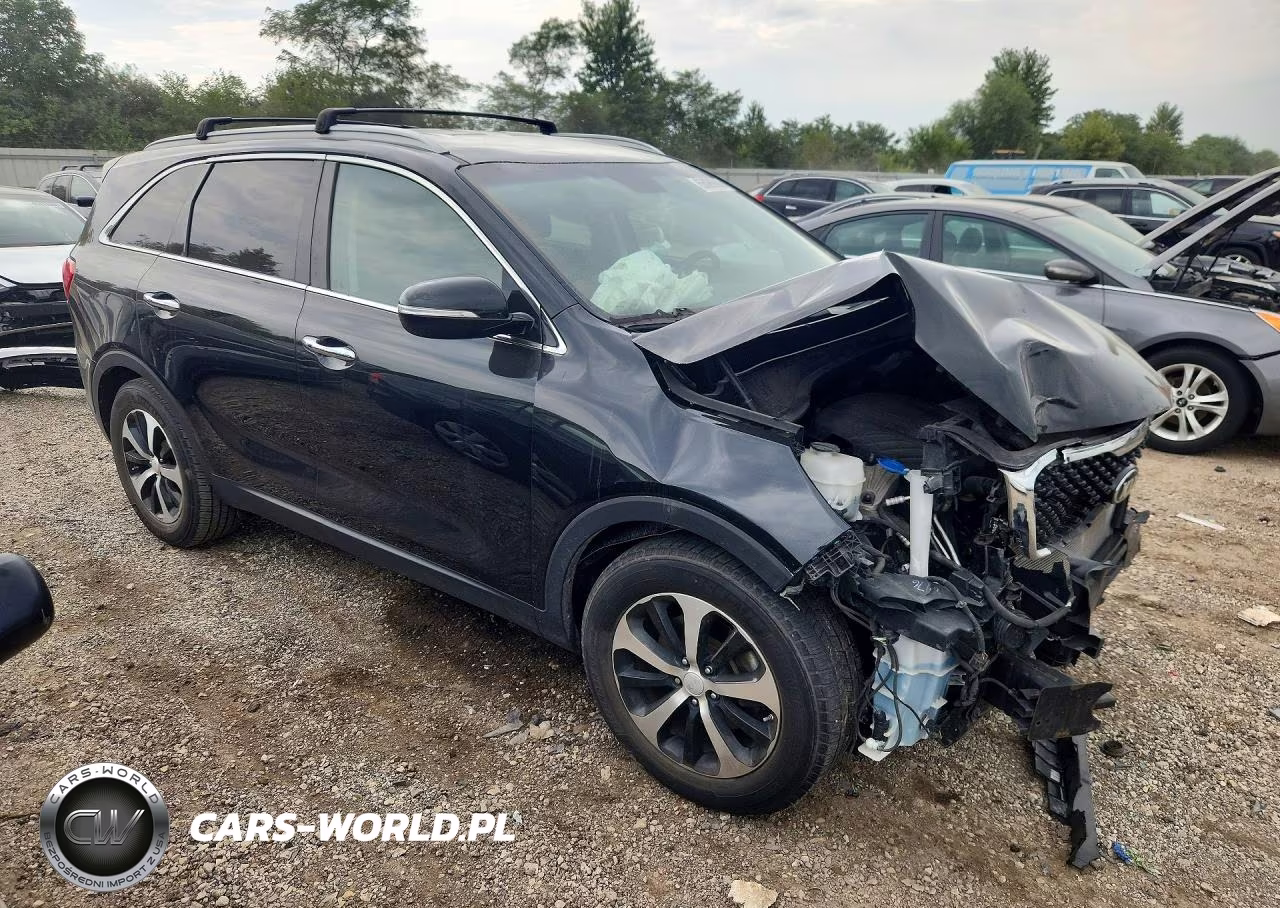 2017 Kia Sorento Ex VIN:5XYPH4A54HG224435 - 4