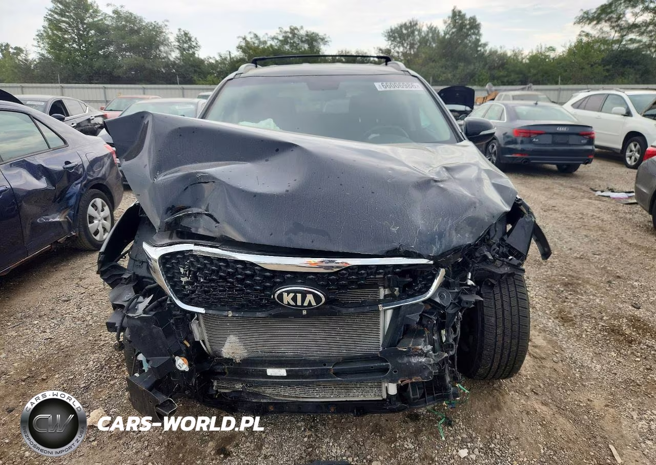 2017 Kia Sorento Ex VIN:5XYPH4A54HG224435 - 5
