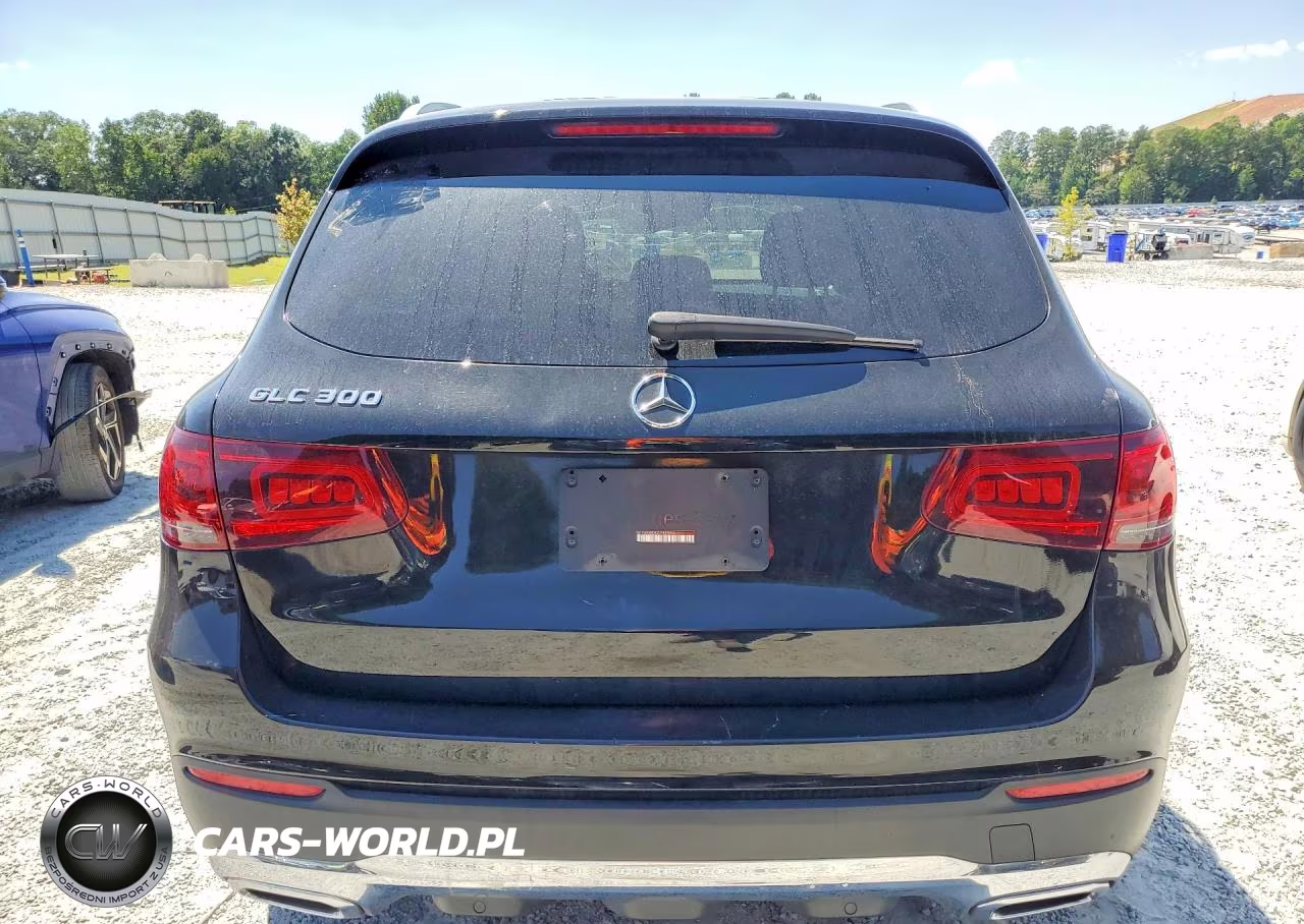 2020 Mercedes-Benz Glc 300 VIN:W1N0G8DBXLF863596 - 6