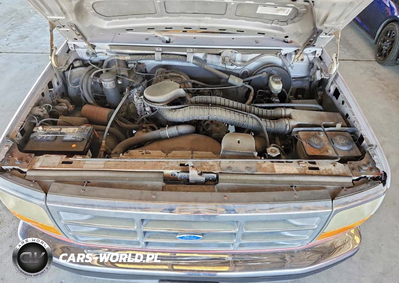 1993 Ford F-150 VIN:2FTDF15N3PCA48072 - 11