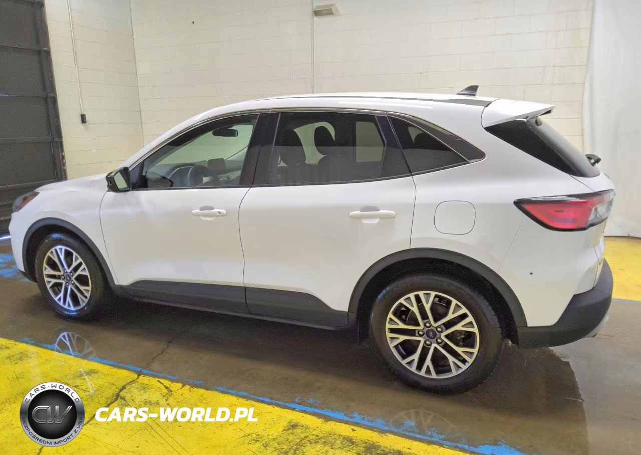 2022 Ford Escape Sel VIN:1FMCU0H66NUA64808 - 2