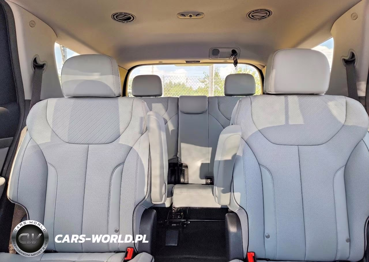2025 Hyundai Palisade Sel VIN:KM8R24GE8SU948907 - 10