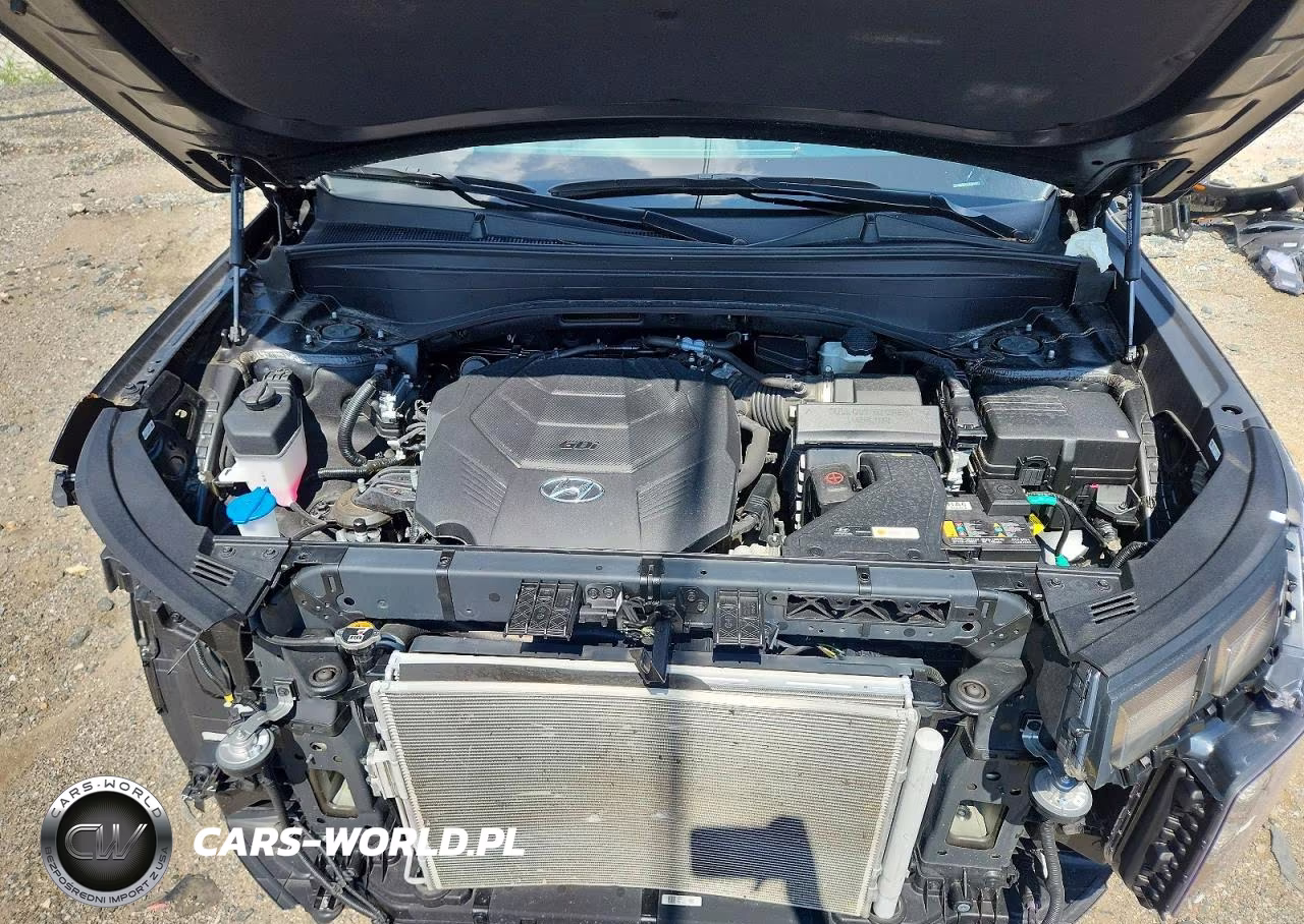 2025 Hyundai Palisade Sel VIN:KM8R24GE8SU948907 - 12