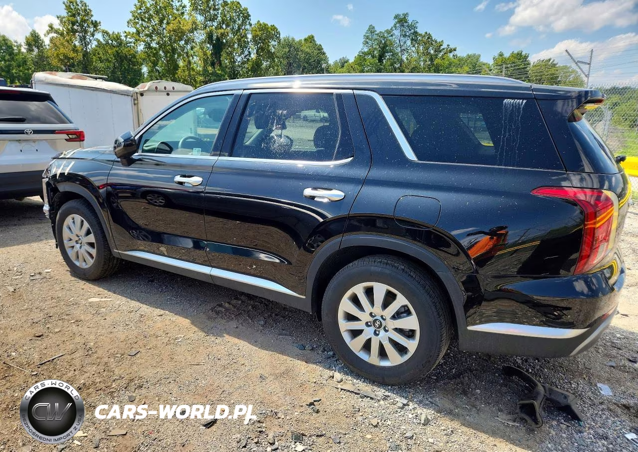 2025 Hyundai Palisade Sel VIN:KM8R24GE8SU948907 - 2