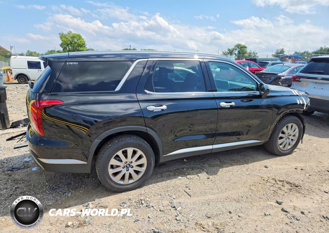 2025 Hyundai Palisade Sel VIN:KM8R24GE8SU948907 - 3