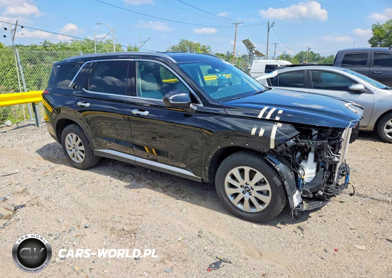2025 Hyundai Palisade Sel VIN:KM8R24GE8SU948907 - 4