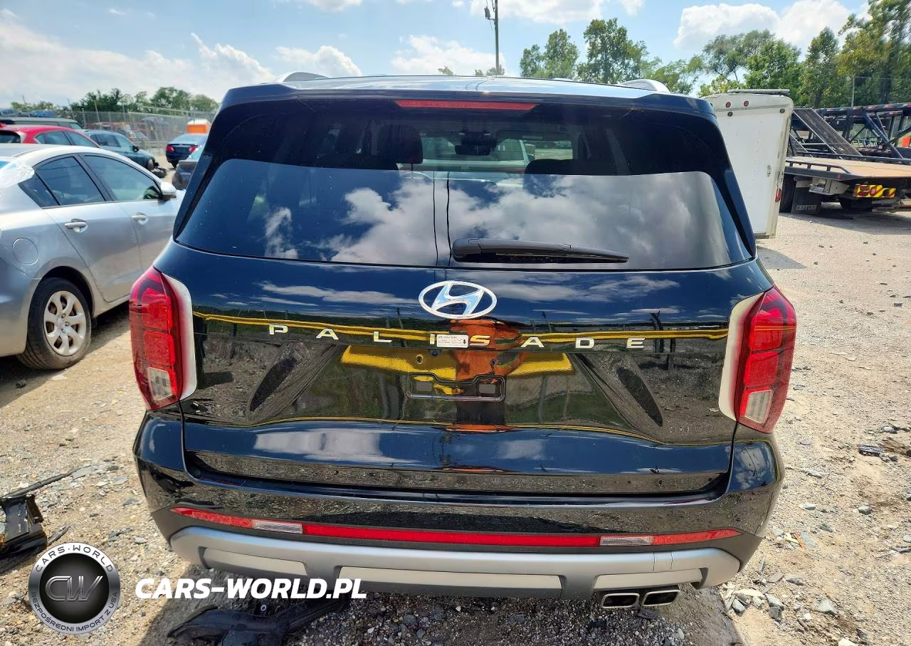 2025 Hyundai Palisade Sel VIN:KM8R24GE8SU948907 - 6