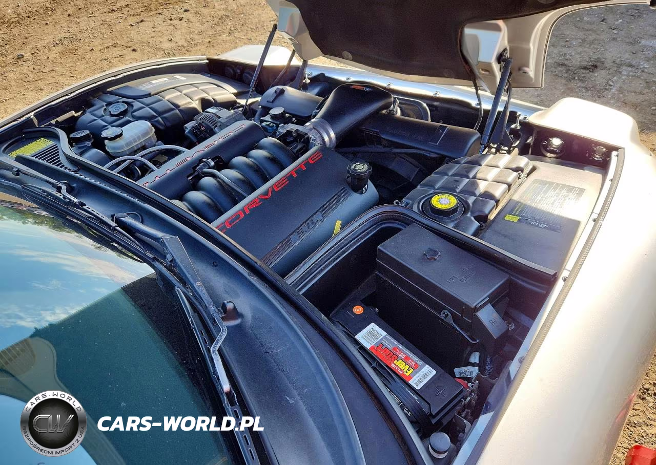 1998 Chevrolet Corvette VIN:1G1YY22G3W5100356 - 11