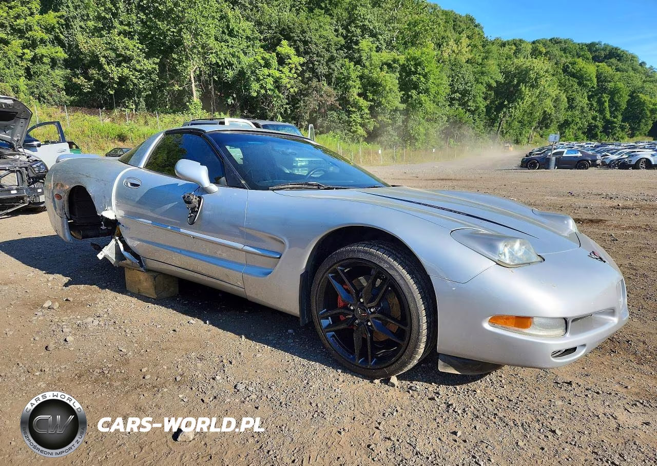 1998 Chevrolet Corvette VIN:1G1YY22G3W5100356 - 4