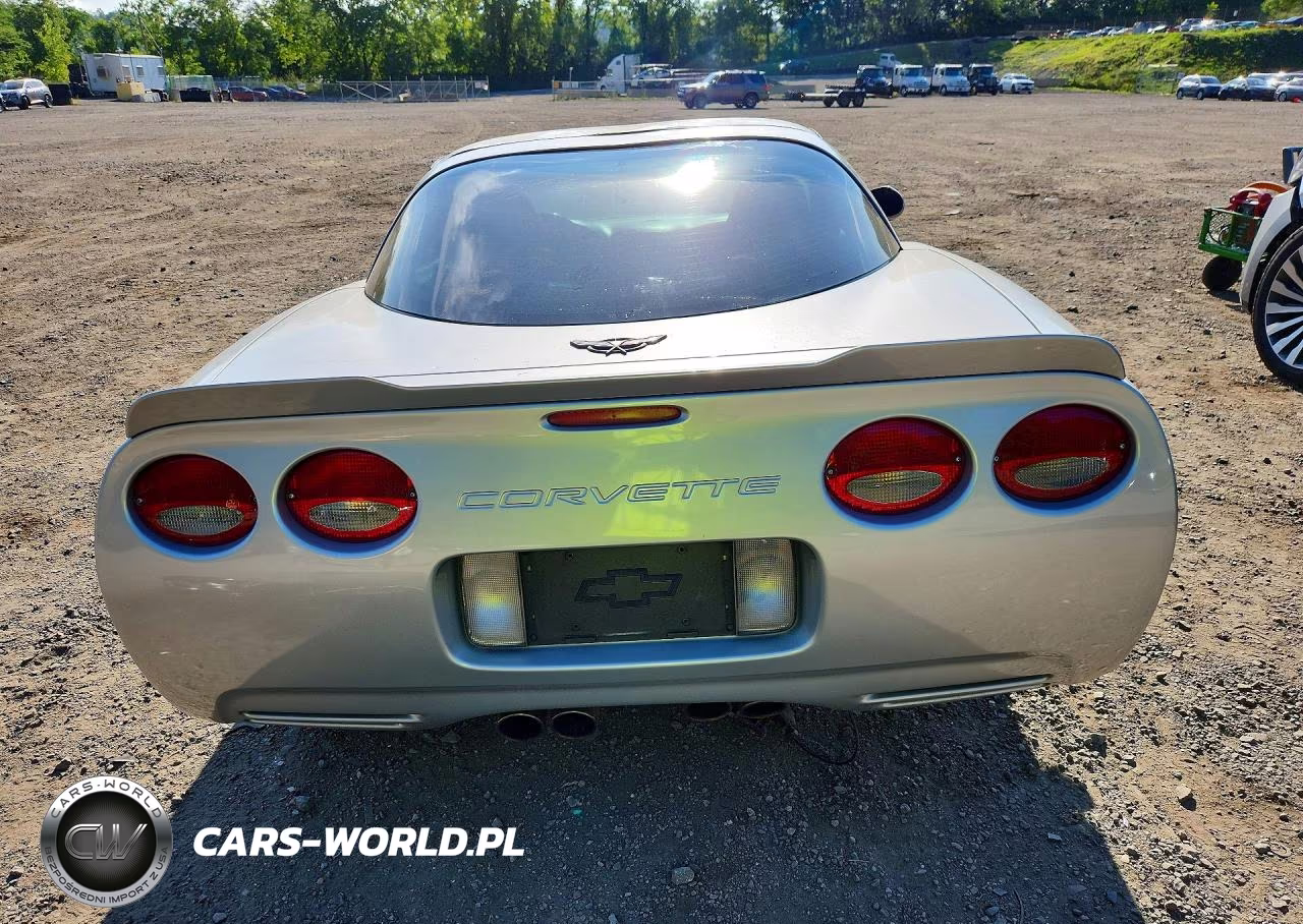 1998 Chevrolet Corvette VIN:1G1YY22G3W5100356 - 6