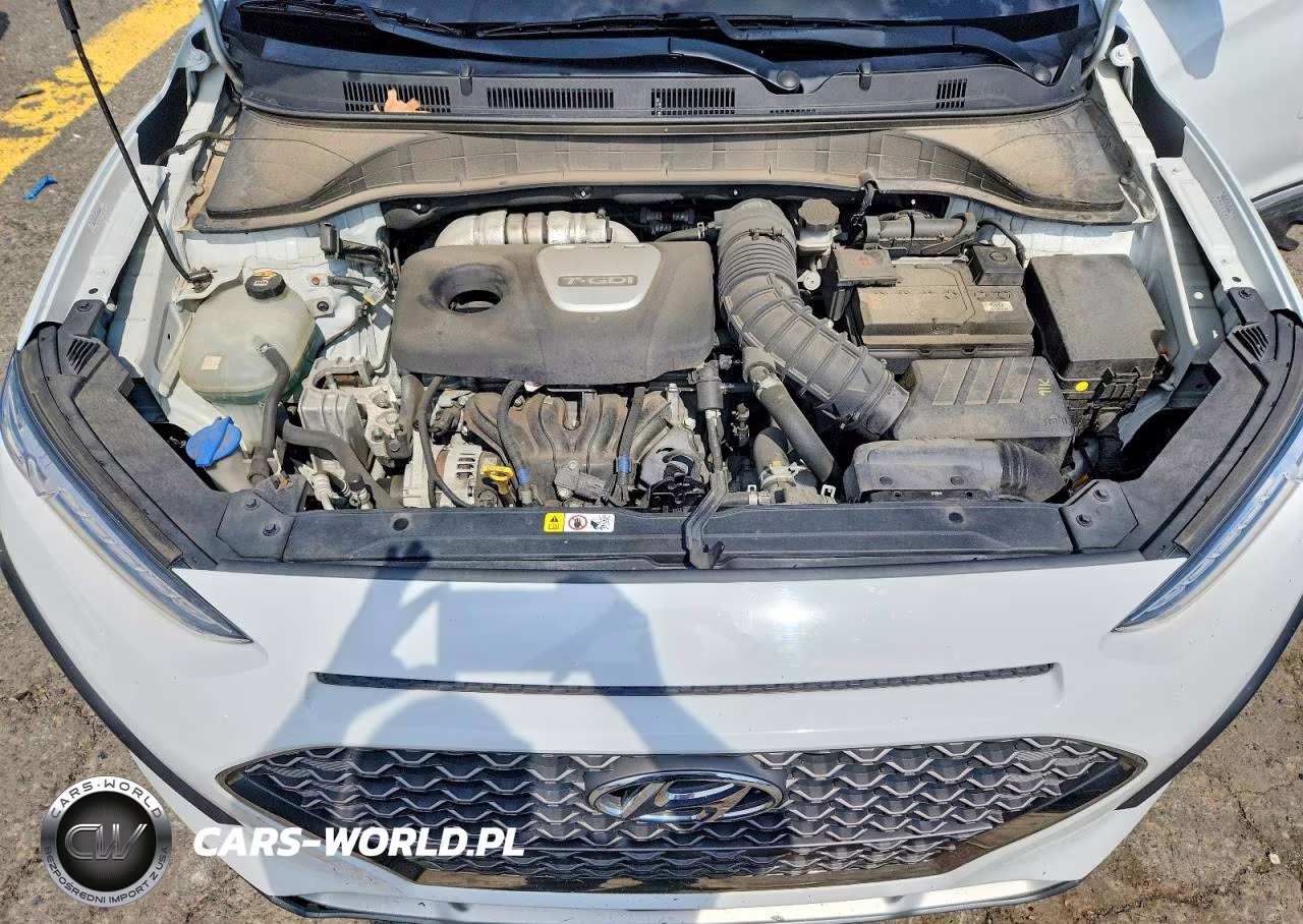 2019 Hyundai Kona Ultimate VIN:KM8K5CA57KU272588 - 12
