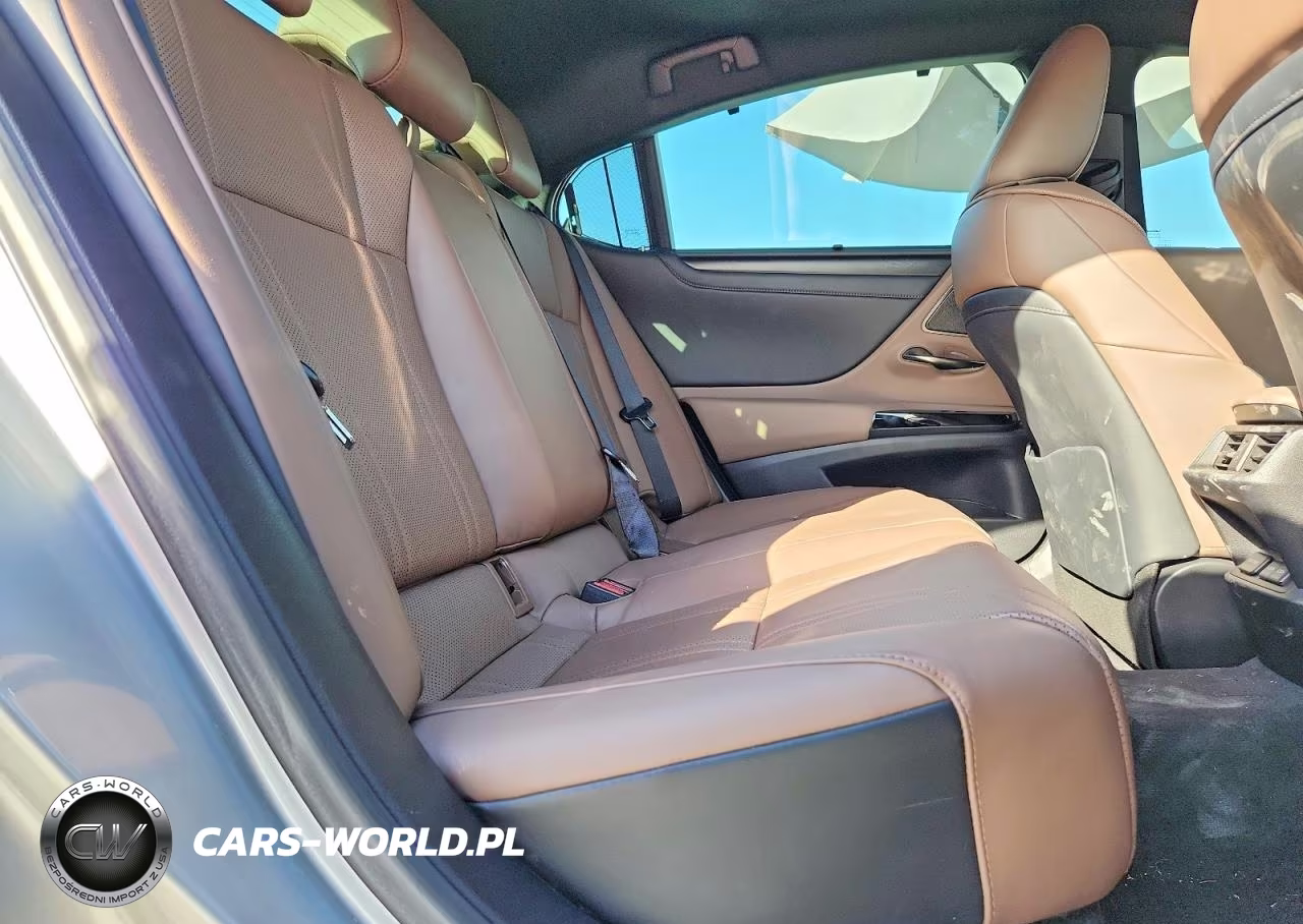 2023 Lexus Es 350 Ultra Luxury VIN:58AFZ1B19PU149848 - 10