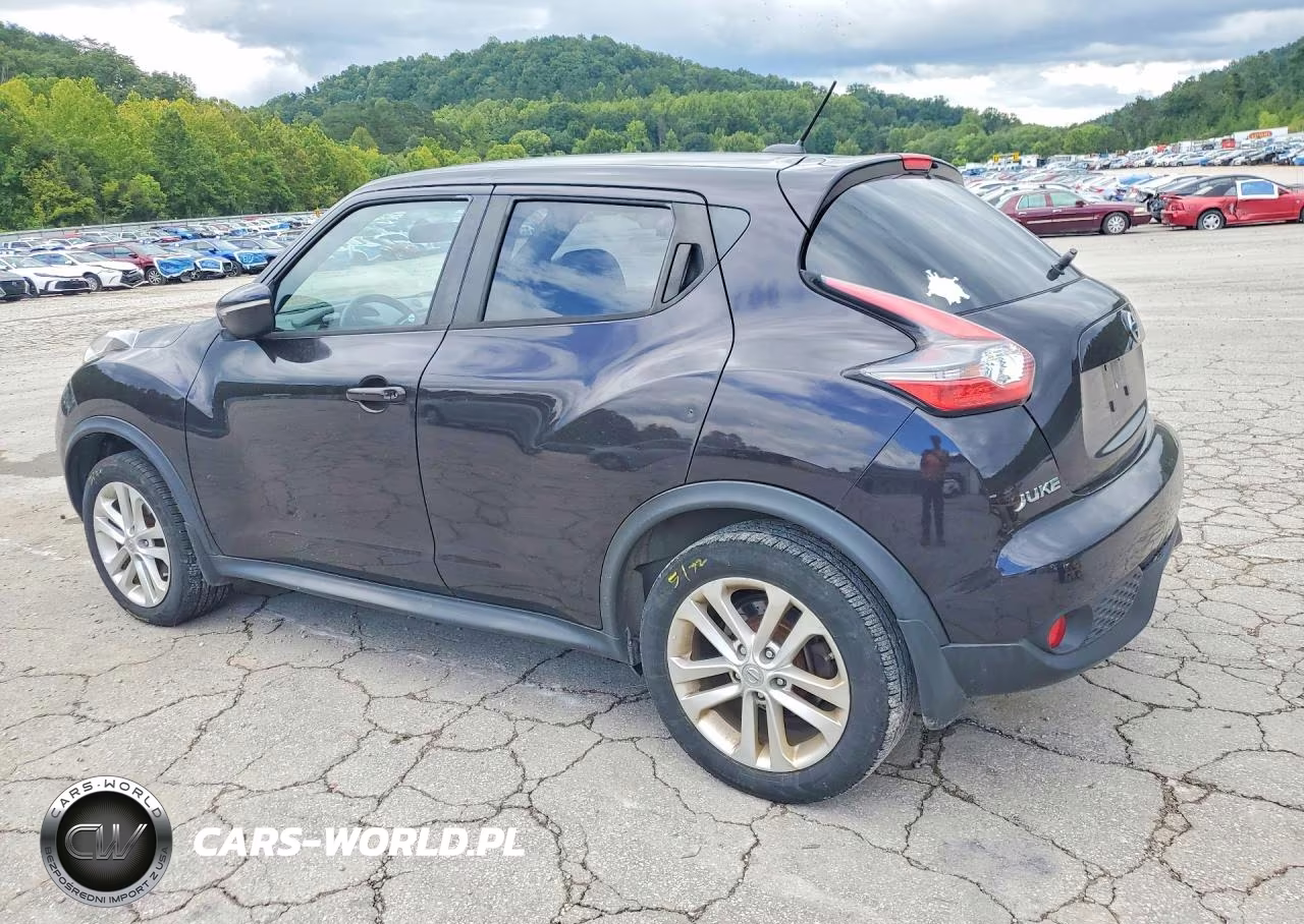 2015 Nissan Juke Sv VIN:JN8AF5MV3FT554828 - 2