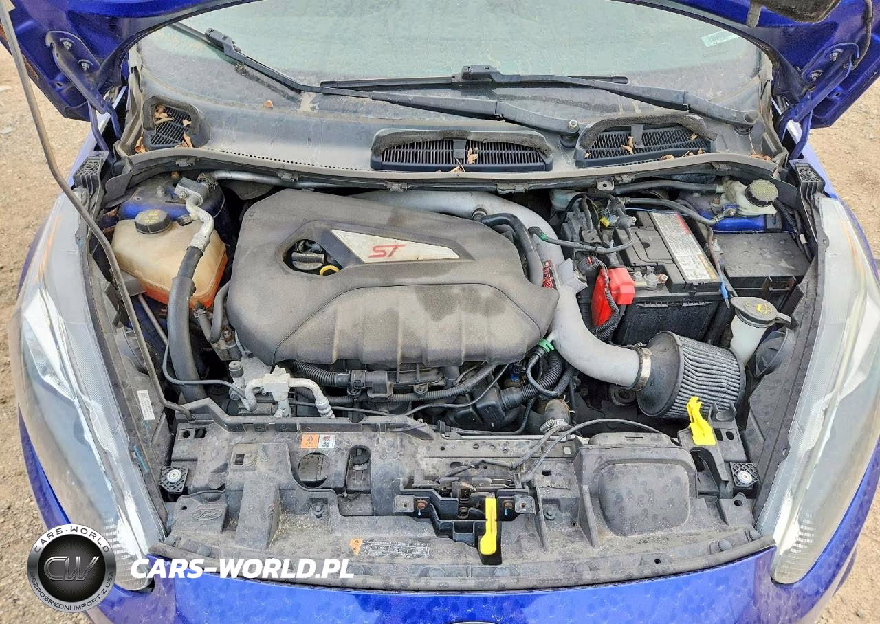 2014 Ford Fiesta St VIN:3FADP4GXXEM195350 - 11