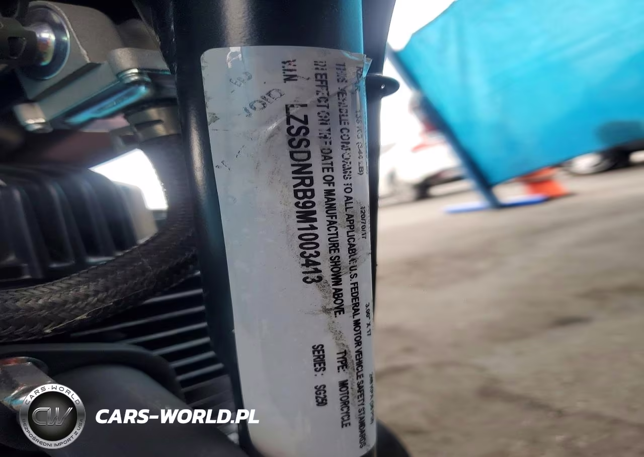 2021 Zongshen Csc San Gabriel 250 VIN:LZSSDNRB9M1003413 - 9