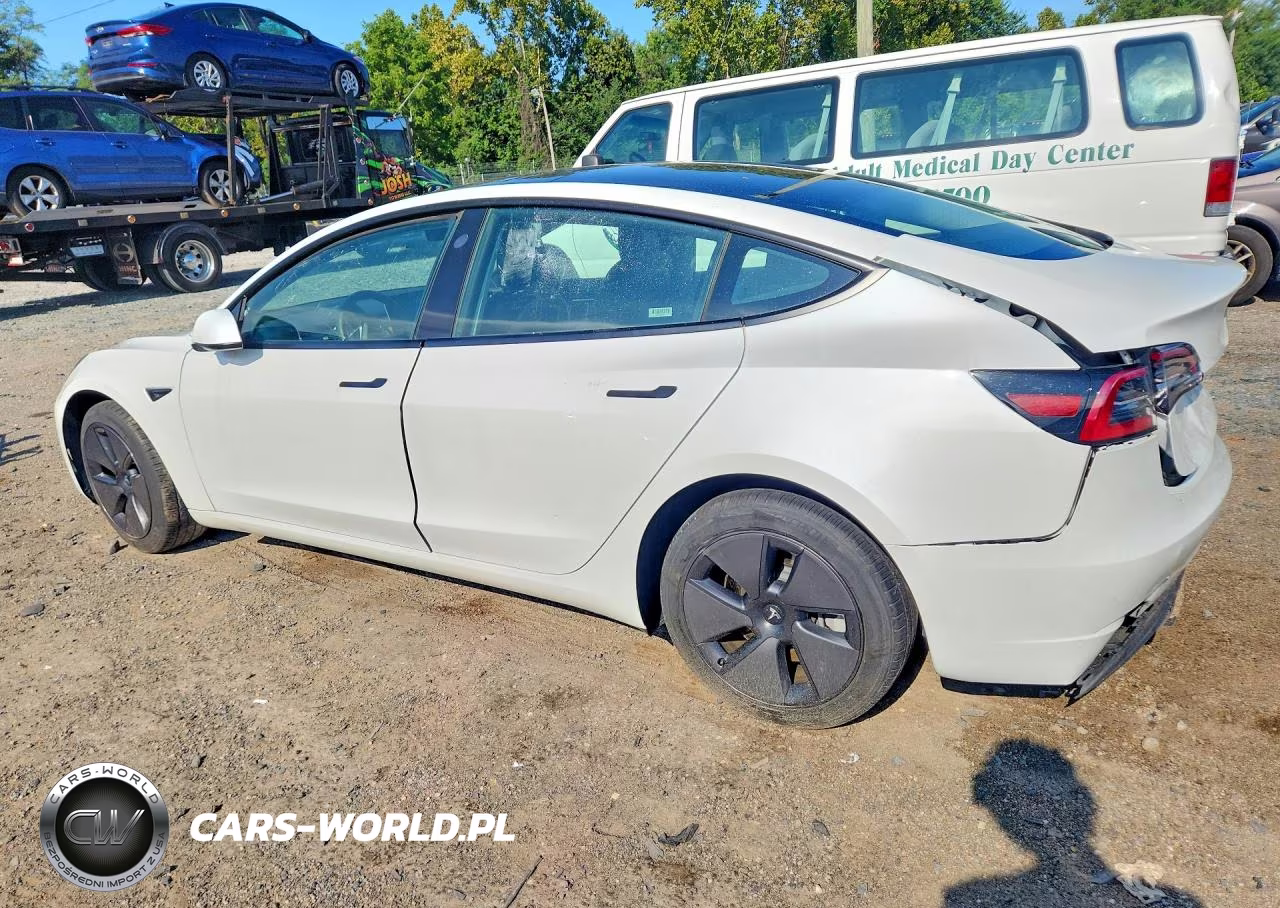 2023 Tesla Model 3 VIN:5YJ3E1EA7PF437687 - 2
