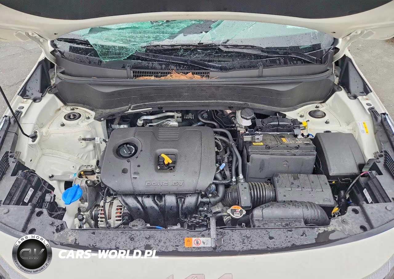2025 Kia Seltos S VIN:KNDEUCAAXS7804741 - 12