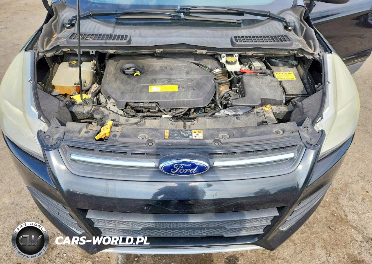 2014 Ford Escape Se VIN:1FMCU9GX5EUA86300 - 12