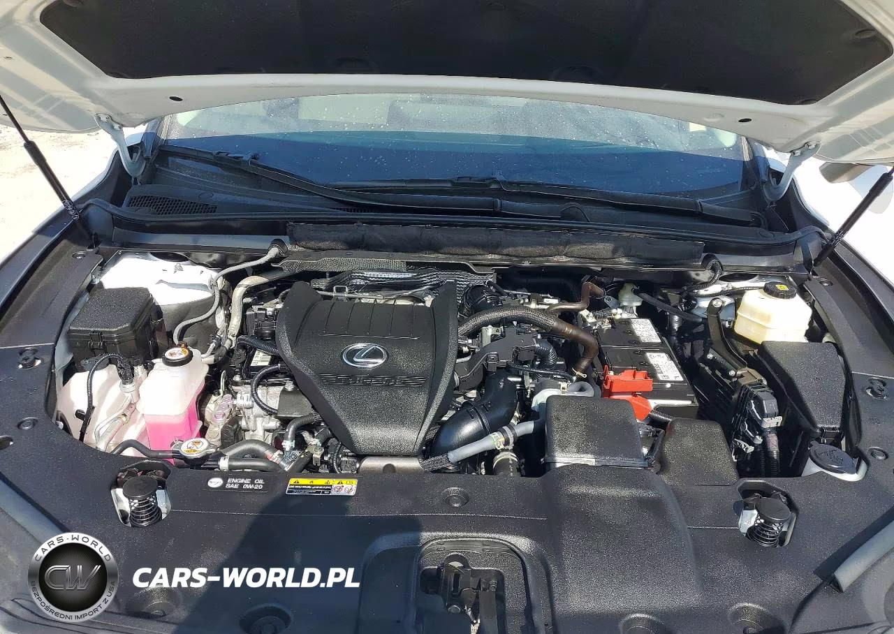 2025 Lexus Rx 350 Premium Plus VIN:2T2BAMBA0SC057919 - 12