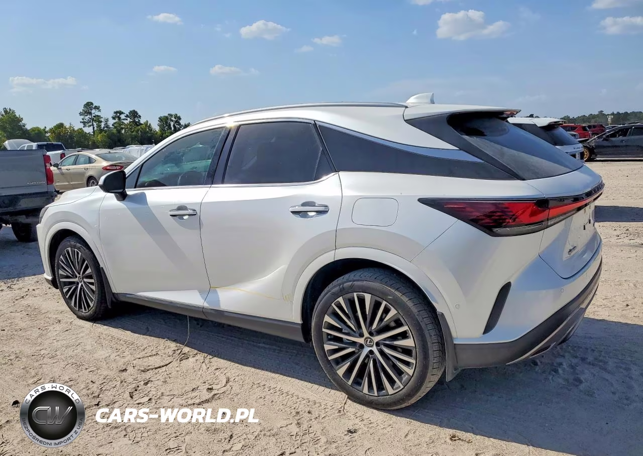 2025 Lexus Rx 350 Premium Plus VIN:2T2BAMBA0SC057919 - 2