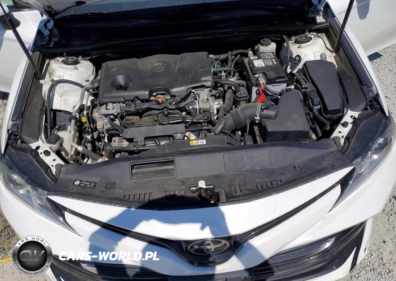 2019 Toyota Camry Le VIN:4T1B11HK0KU253232 - 11