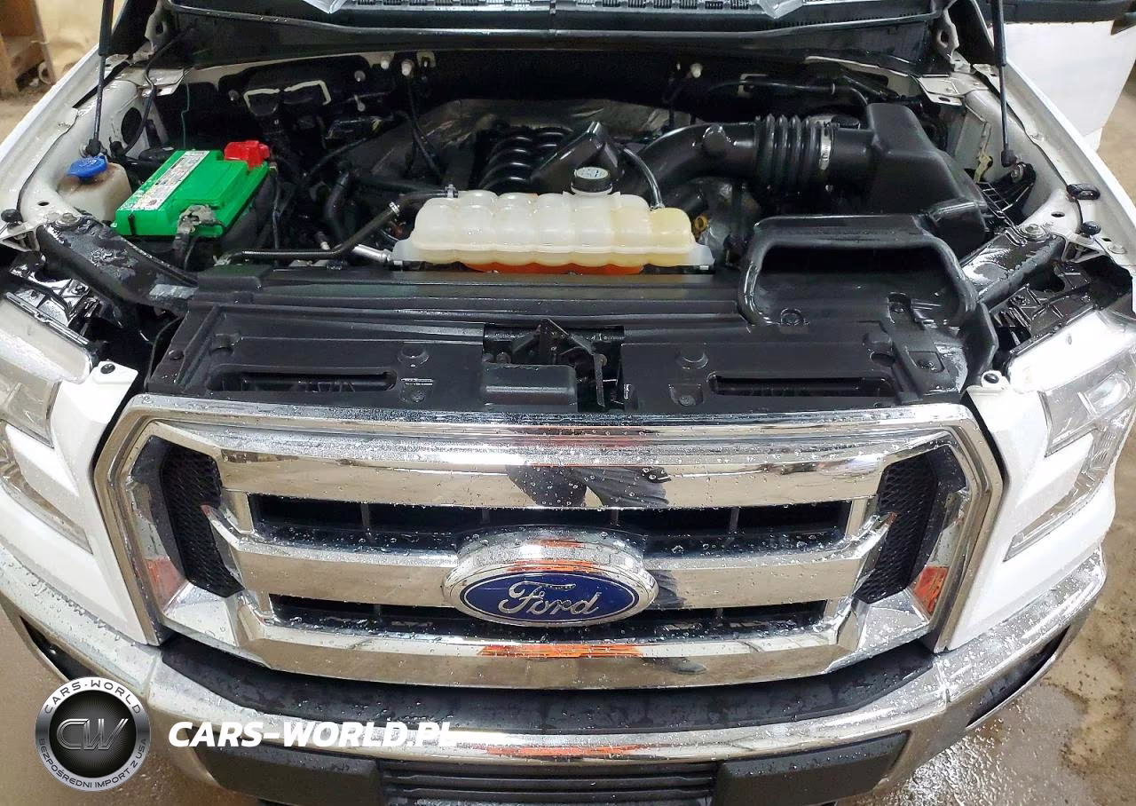2017 Ford F150 Supercrew VIN:1FTEW1EF0HKD26629 - 11