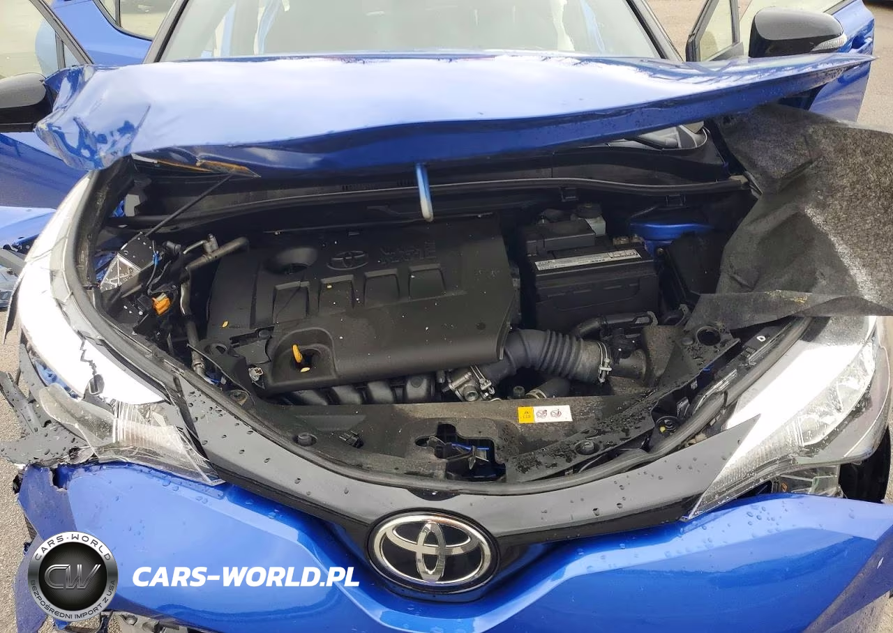 2020 Toyota C-Hr Xle VIN:JTNKHMBX7L1090812 - 11