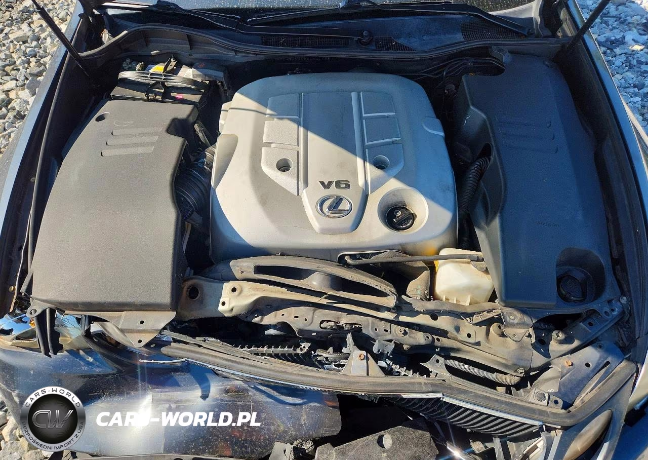 2006 Lexus Gs 300 VIN:JTHBH96S965044636 - 11