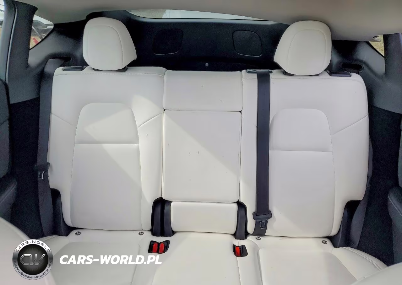 2023 Tesla Model Y VIN:7SAYGDEF0PF757868 - 10