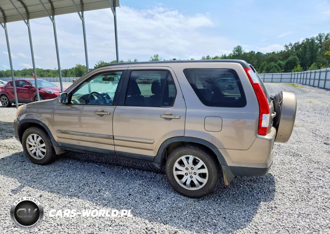 2005 Honda Cr-V Se VIN:SHSRD78905U317298 - 2