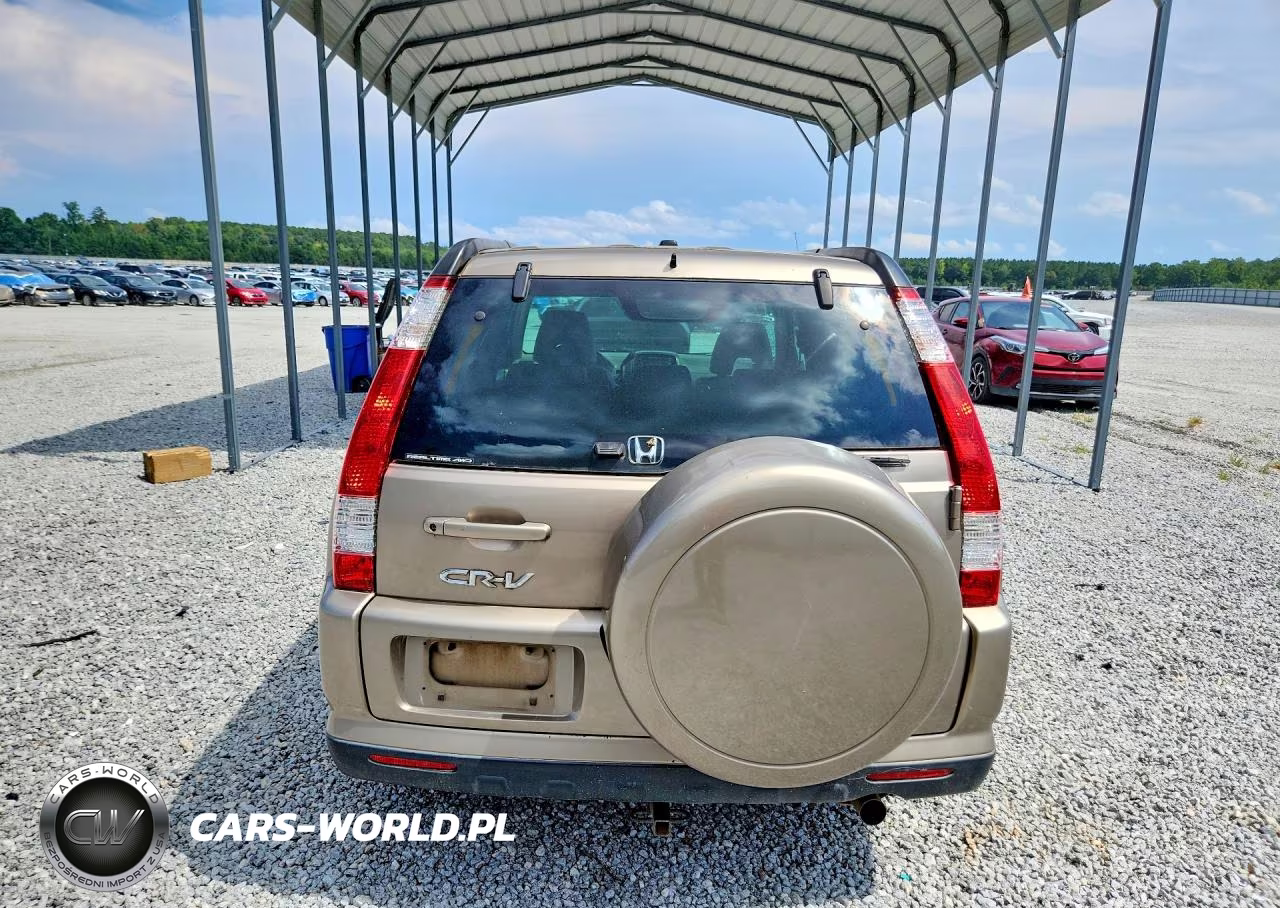2005 Honda Cr-V Se VIN:SHSRD78905U317298 - 6