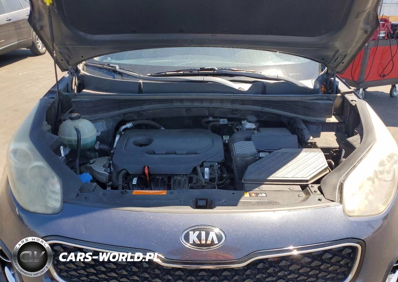 2019 Kia Sportage Ex VIN:KNDPN3AC2K7520558 - 11