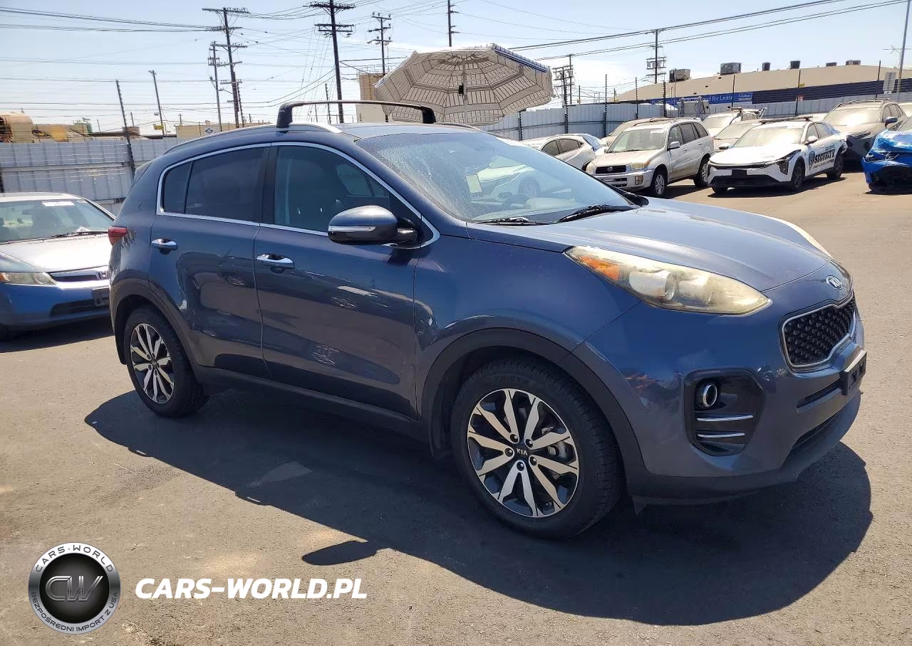 2019 Kia Sportage Ex VIN:KNDPN3AC2K7520558 - 3