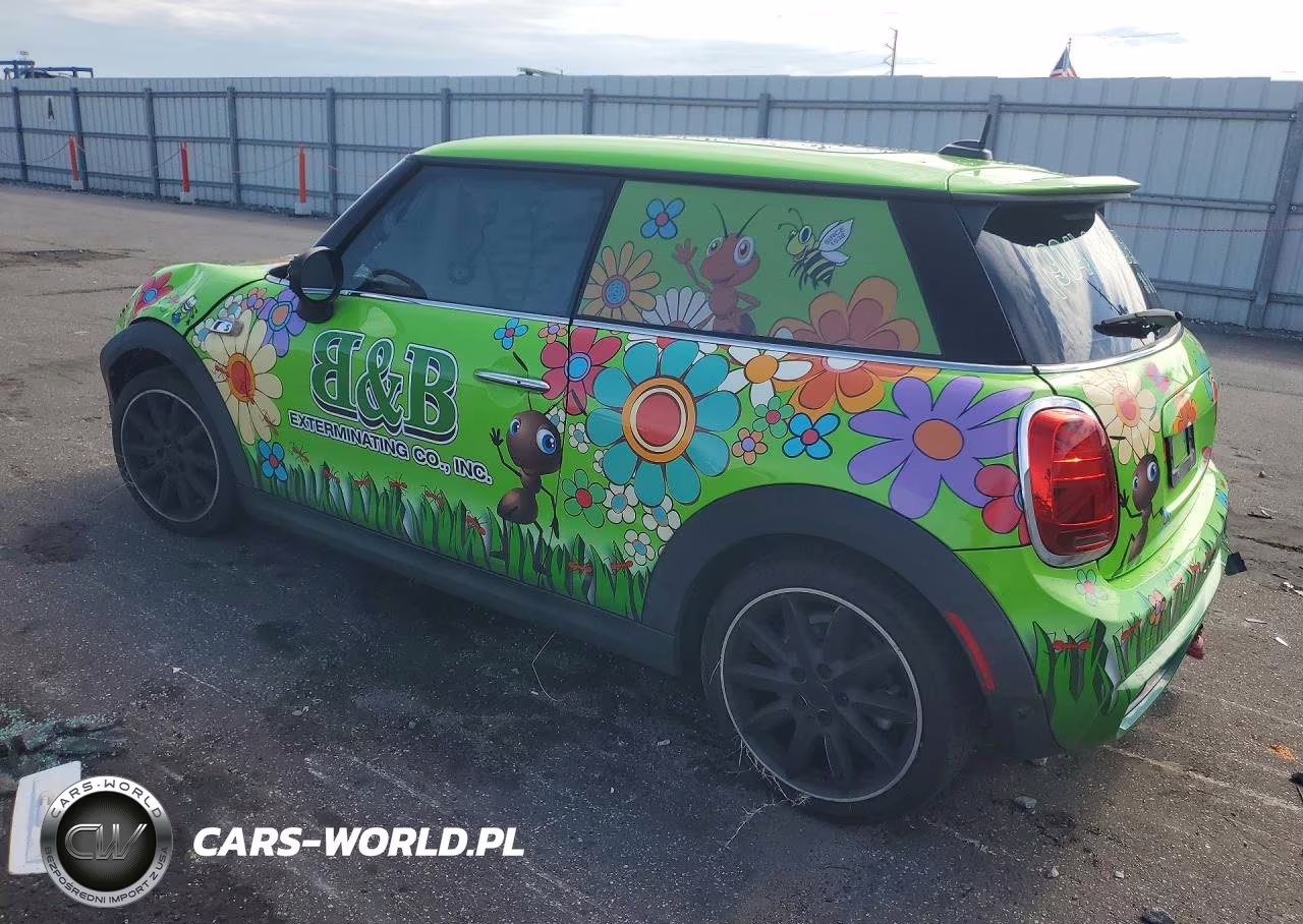 2020 Mini Cooper S VIN:WMWXR5C03L2L91910 - 2