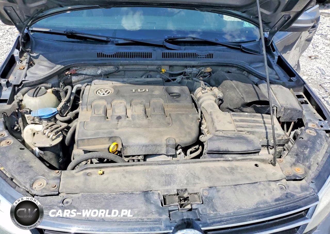 2015 Volkswagen Jetta Tdi VIN:3VWLA7AJ4FM306079 - 11