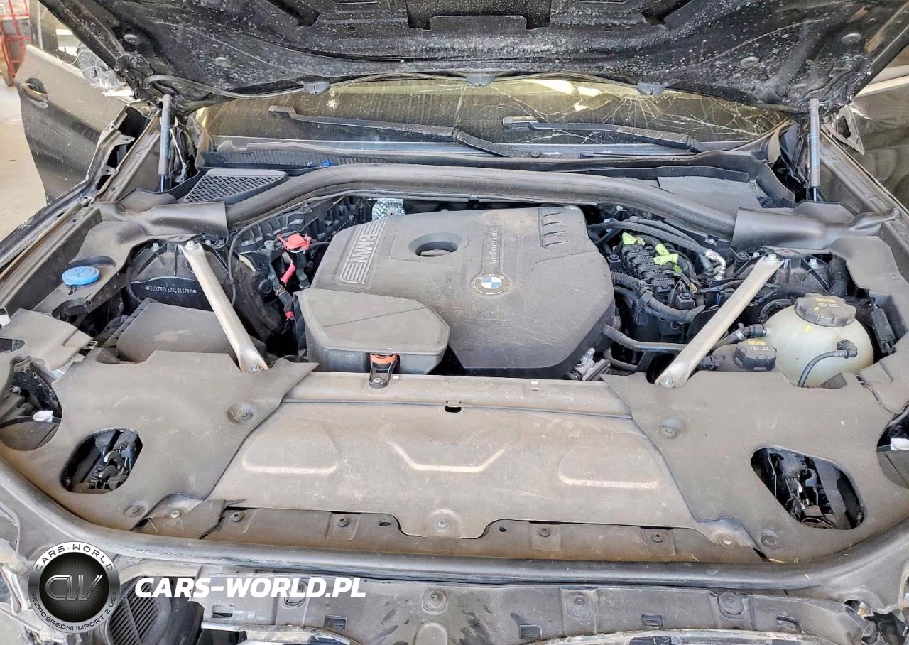 2019 BMW X3 Sdrive30I VIN:5UXTR7C52KLR45793 - 12