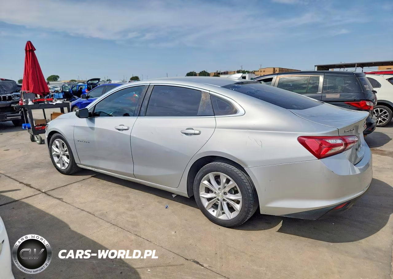 2019 Chevrolet Malibu Lt VIN:1G1ZD5ST7KF167349 - 2