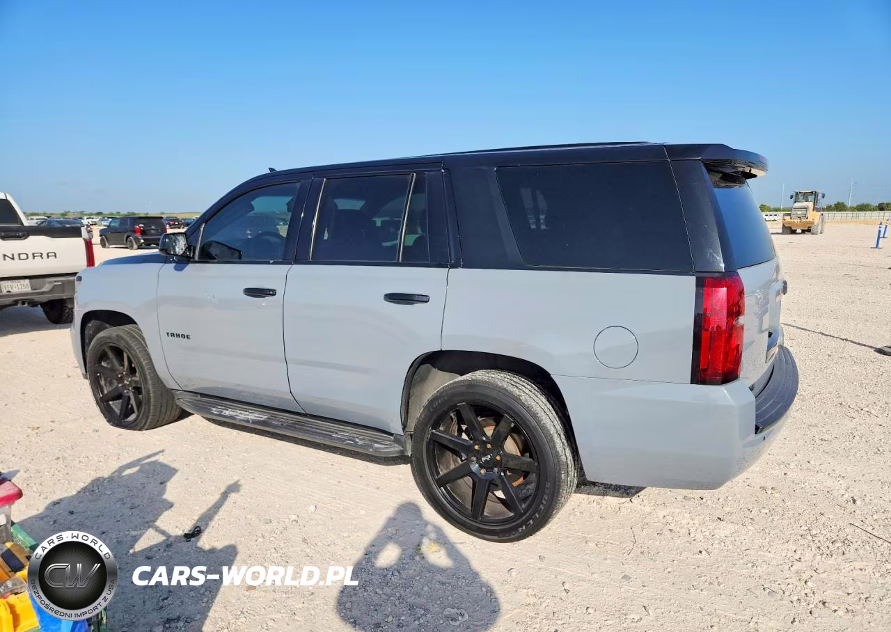 2019 Chevrolet Tahoe Police VIN:1GNLCDEC0KR231520 - 2