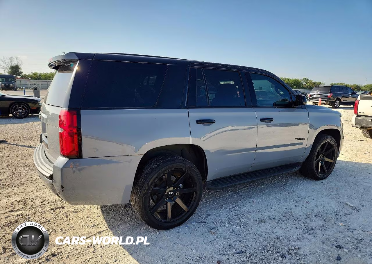 2019 Chevrolet Tahoe Police VIN:1GNLCDEC0KR231520 - 3