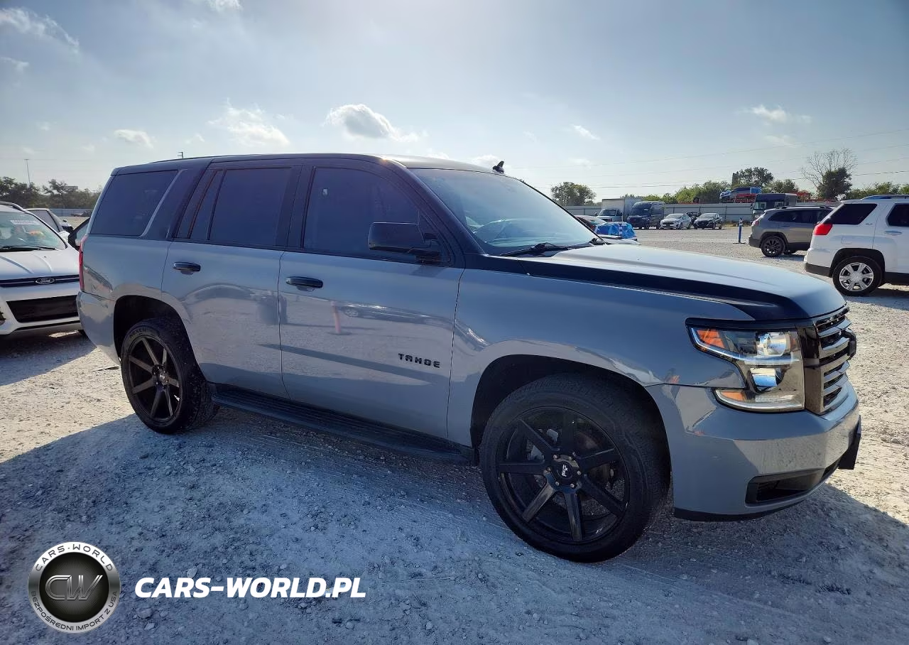 2019 Chevrolet Tahoe Police VIN:1GNLCDEC0KR231520 - 4