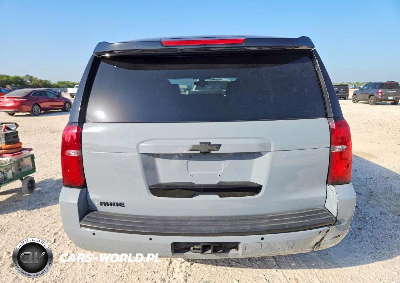 2019 Chevrolet Tahoe Police VIN:1GNLCDEC0KR231520 - 6