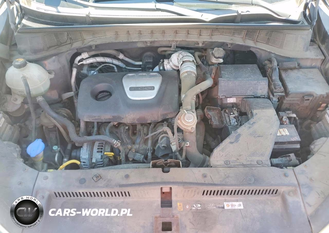 2016 Hyundai Tucson Limited VIN:KM8J33A26GU209433 - 12